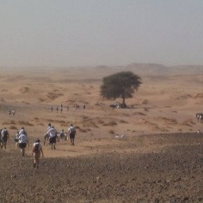 Sahara Trek...